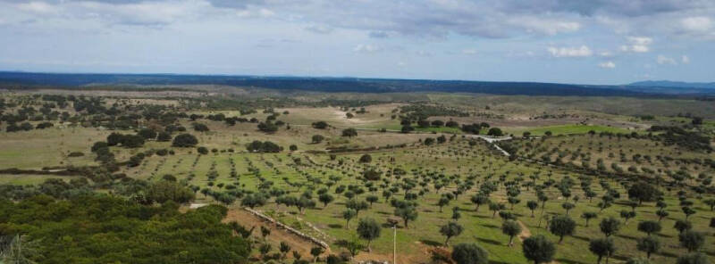 Aerial view of the Alentejo estate surrounded by rolling hills and forests