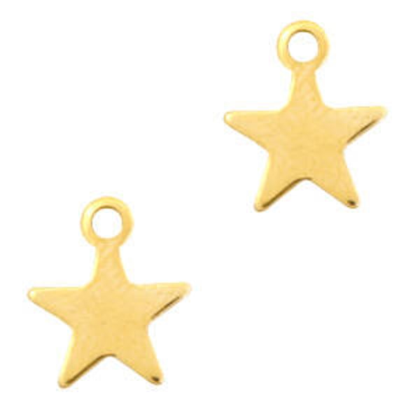 Stainless Steel bedel ster goud