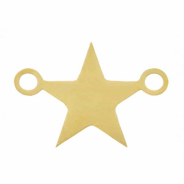 Stainless Steel tussenstuk ster goud