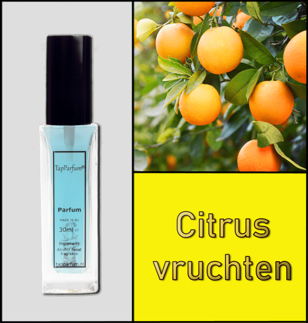 Tapparfum LE302 (Citrus Vruchten)