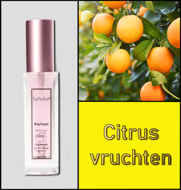 Tapparfum LA719 (Citrus vruchten)