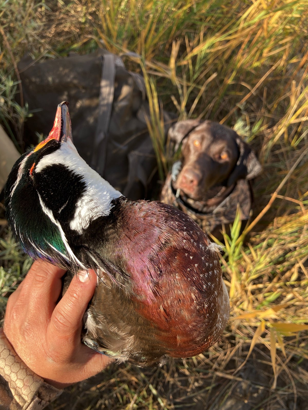 Hunting Experiences | Space Cowboy Outdoors