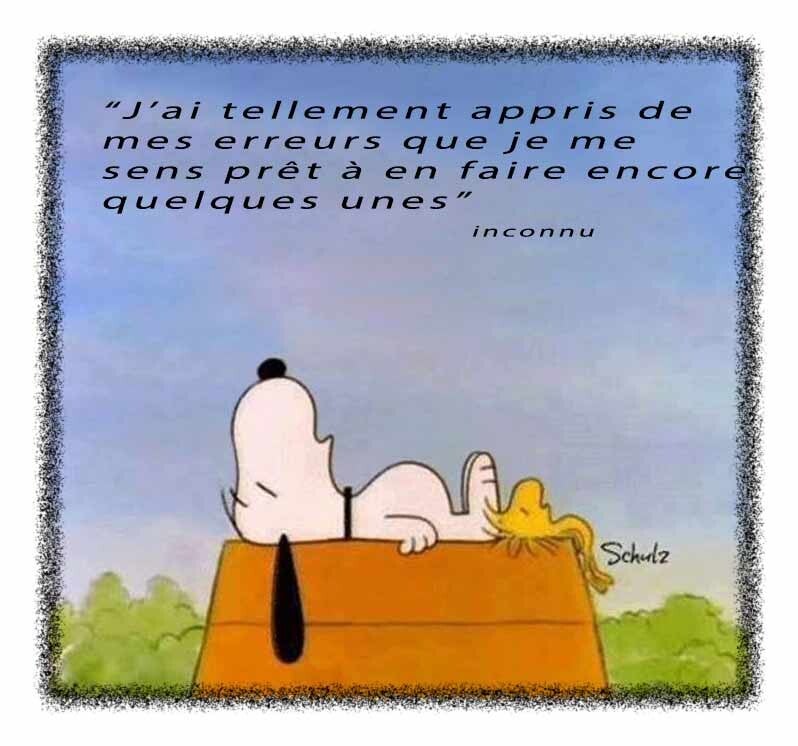 appris-de-mes-erreurs-standard-j2nmbo.jpg