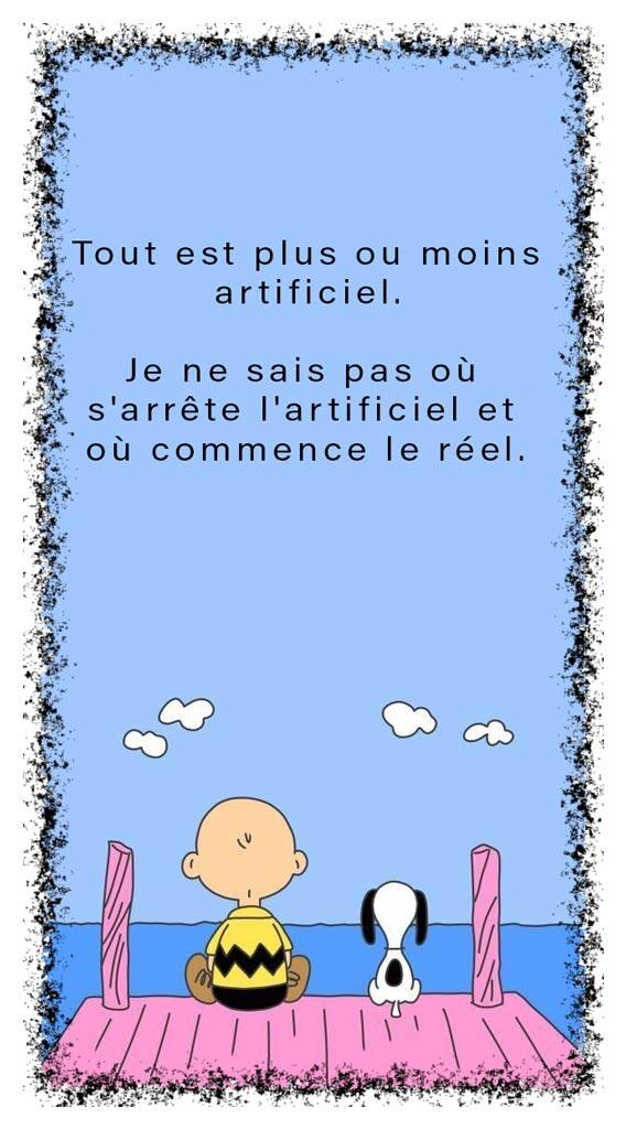 artificiel-standard-11m4t5.jpg