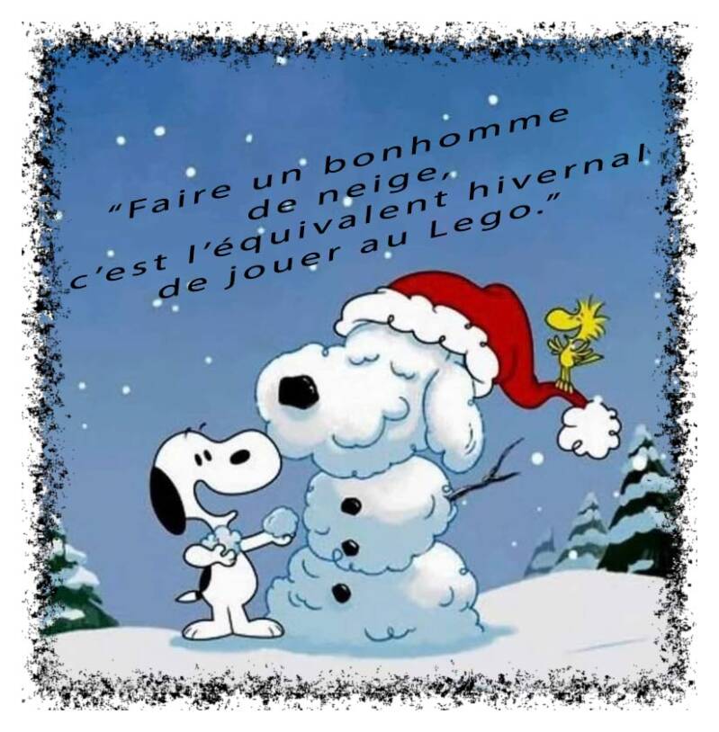 bonhomme-standard-9coaph.jpg
