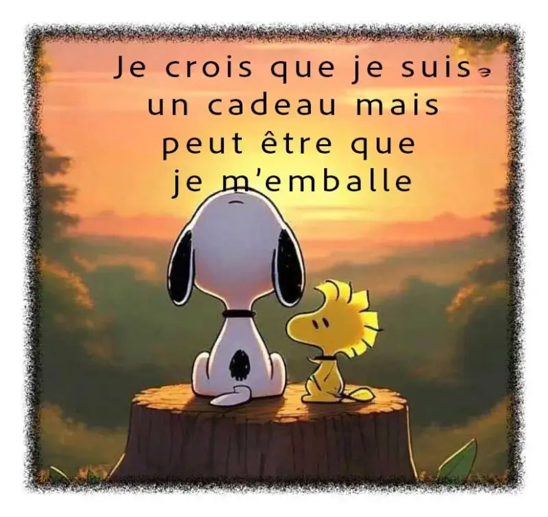 cadeau-high-jpg-standard.webp