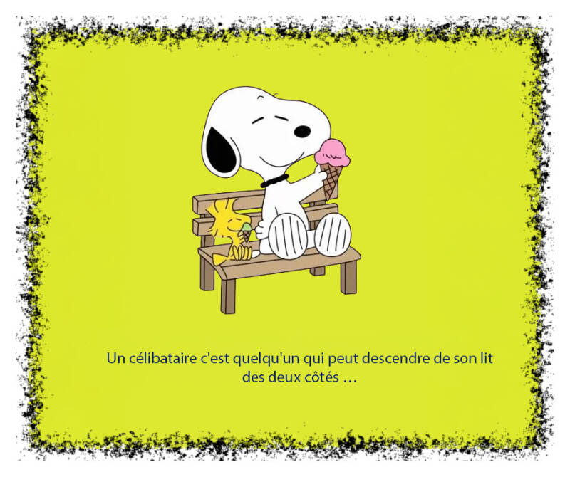 celibataire-standard-4b1jz8.jpg
