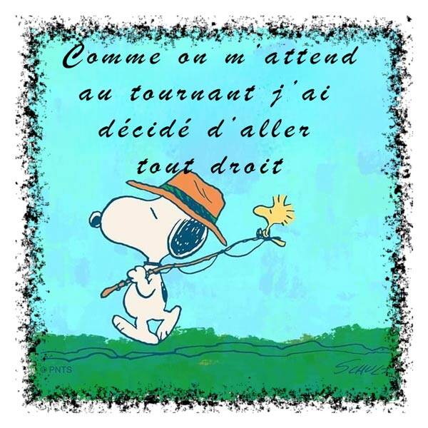 droit-standard-46sdpm.jpg
