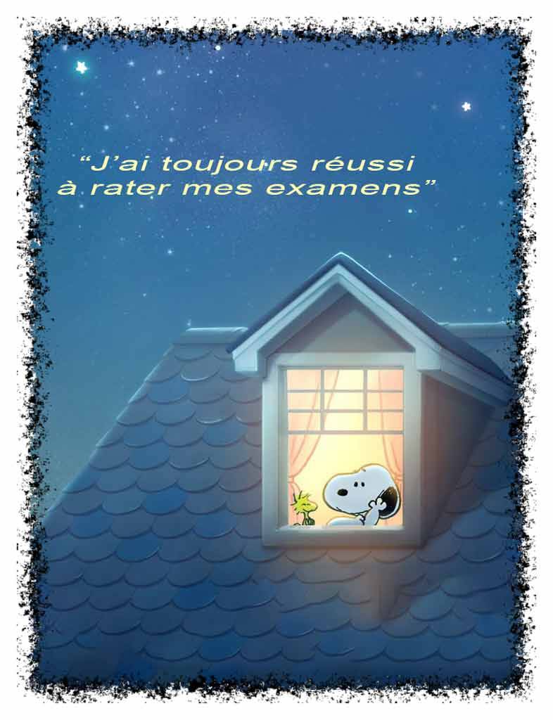 examens-standard-z8fkbo.jpg