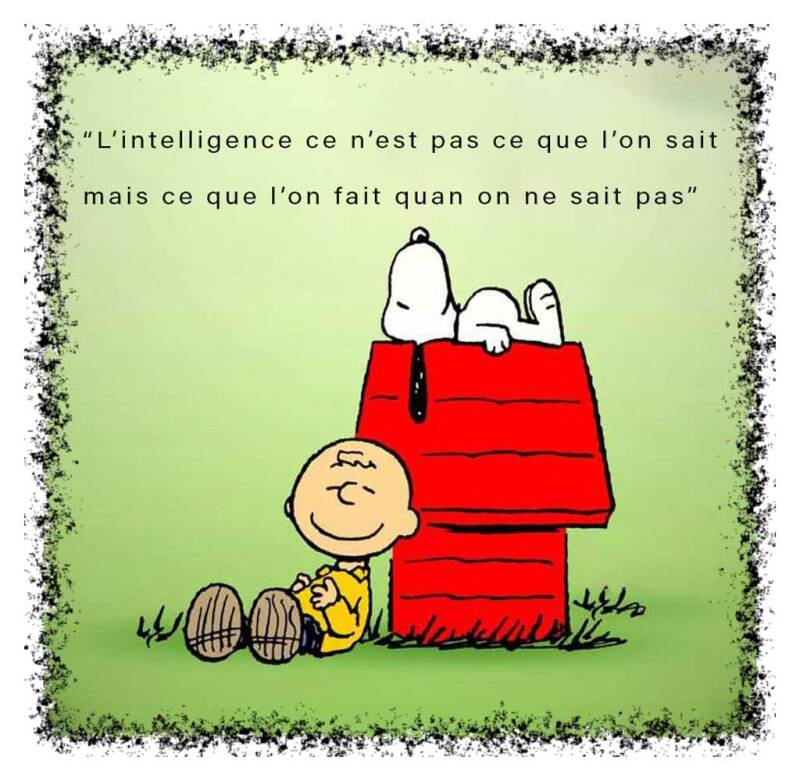 intelligence-standard-1a8daw.jpg