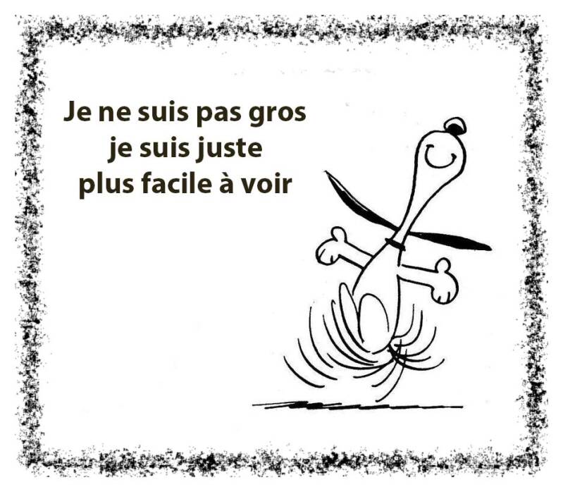 pas-gros-standard-n8dkzl.jpg