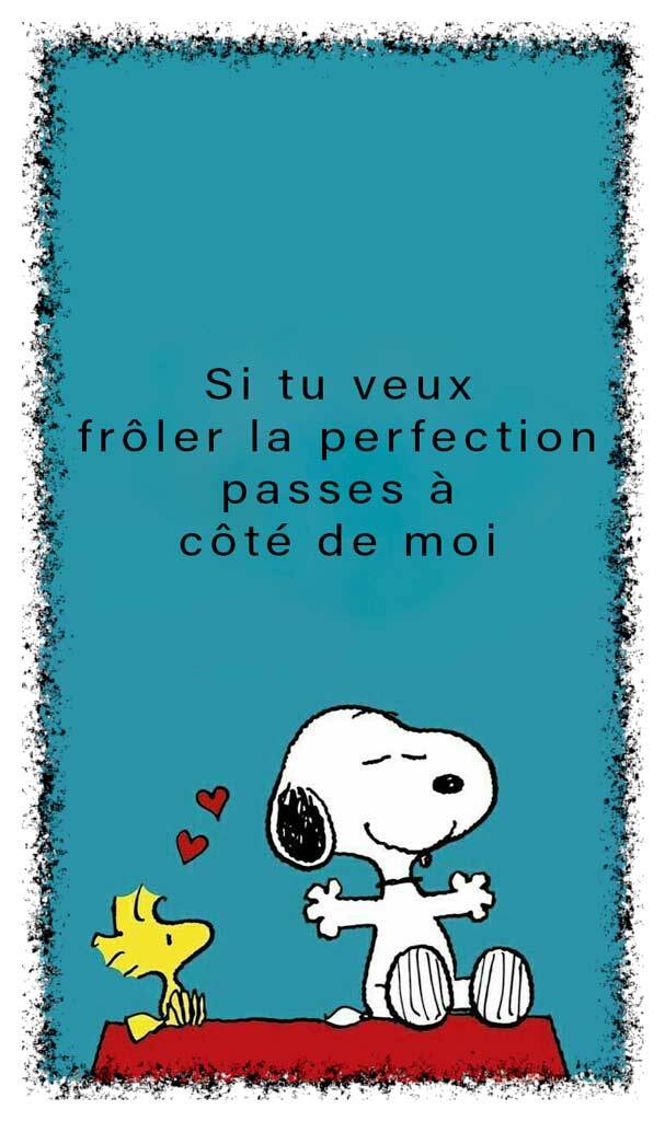 perfection-standard-mtyhh1.jpg