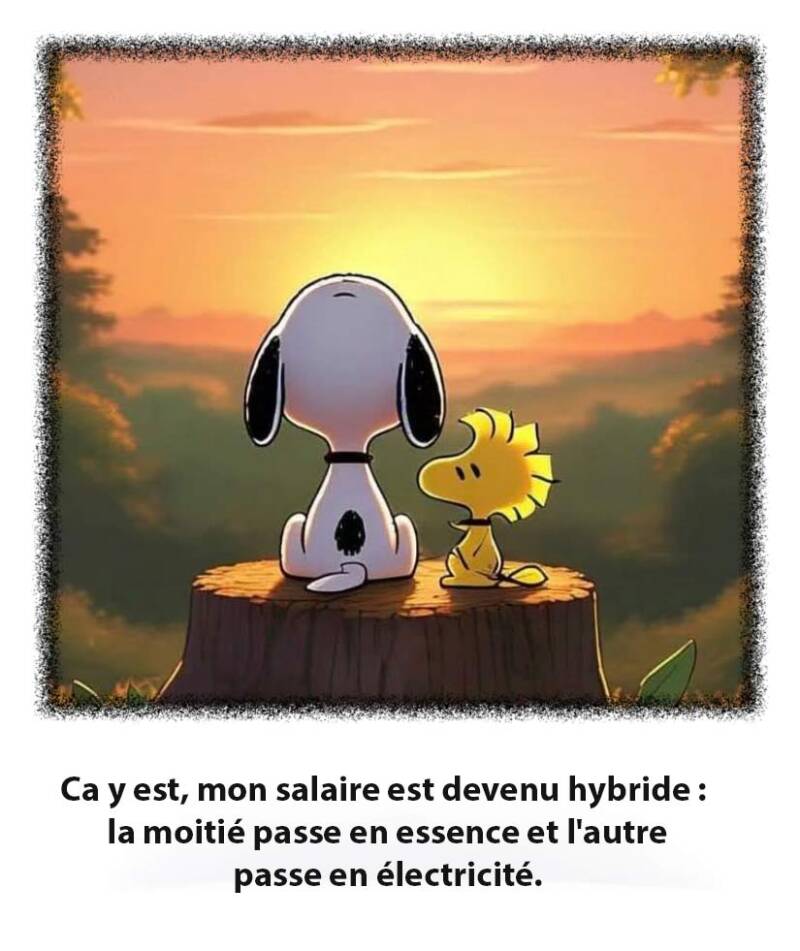 salaire-standard-hy50a2.jpg