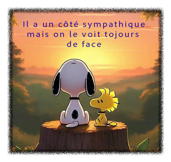 snoopy-04-standard-vtszer.jpg