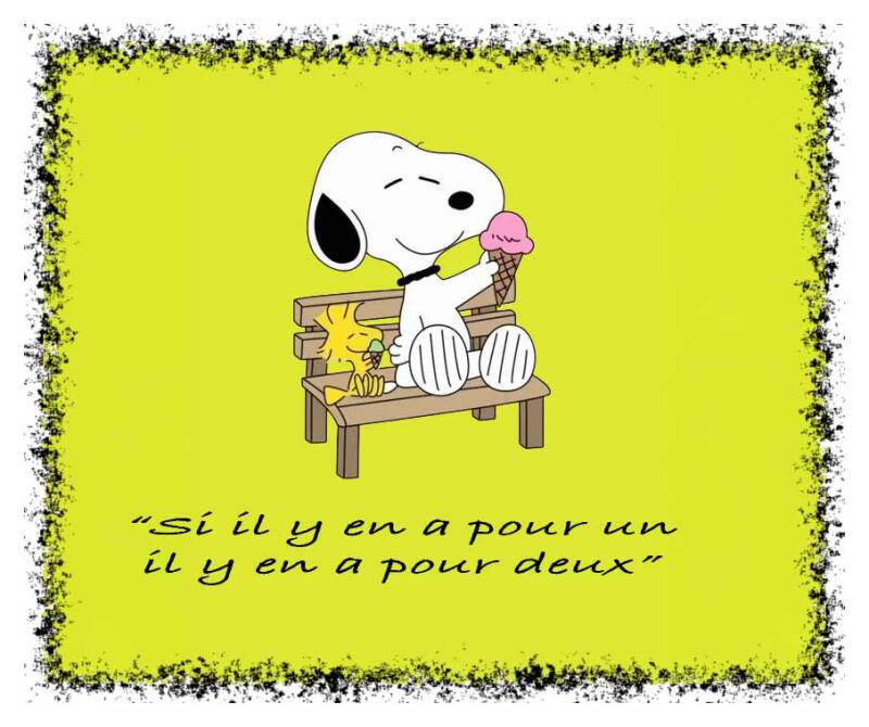 snoopy-08-standard-sprqf9.jpg