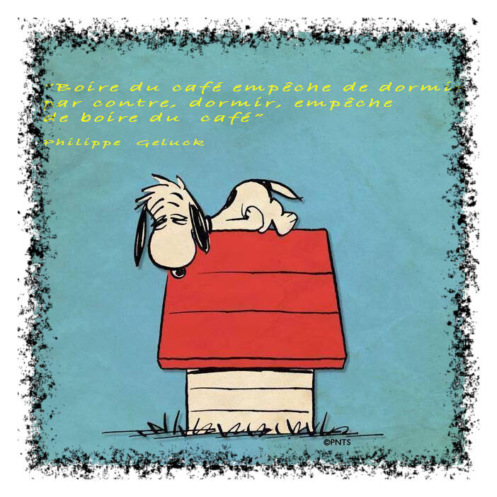snoopy-09-standard-kehiri.jpg