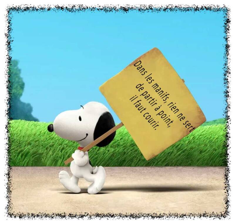 snoopy-14-standard-2zeend.jpg