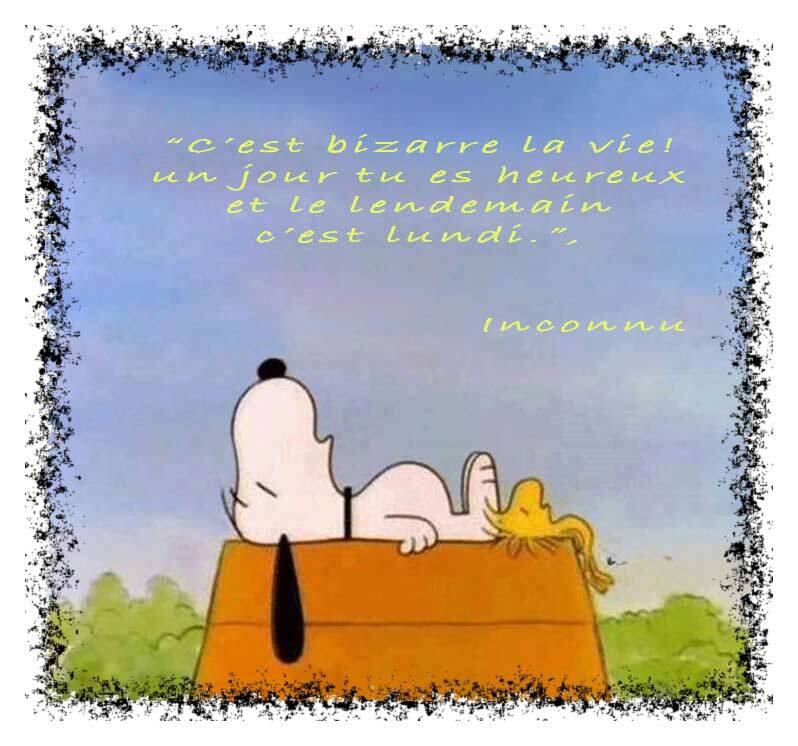 snoopy-18-standard-du5oie.jpg