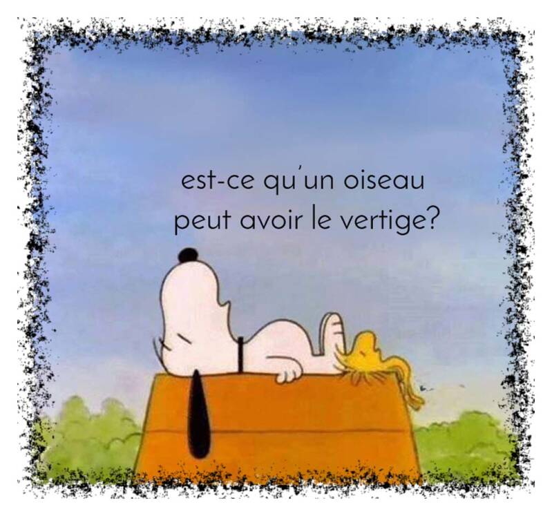 snoopy-18-standard-g3eh83.jpg