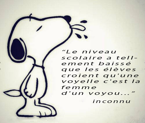 snoopy-23-standard-hybw06.jpg