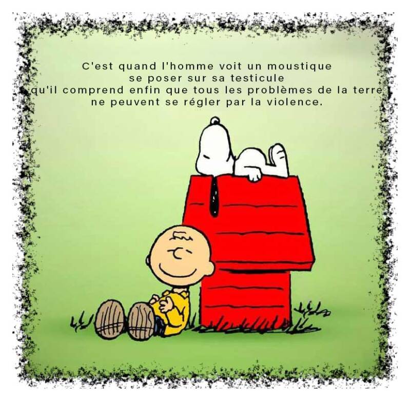 snoopy-2a-standard-e2jc9h.jpg