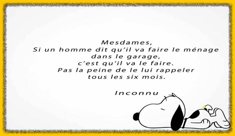 snoopy-32-standard-3wg1cr.jpg
