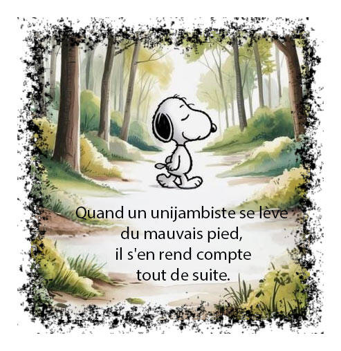 unijambiste-standard-tftgtz.jpg
