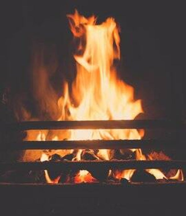 Volle doos wilgenhout -ophalen/bezorgen regio*-