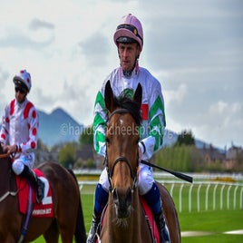 dsc_0569-2-standard-ehns3v.jpg