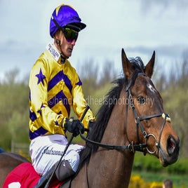 dsc_0618-1-standard-asmain.jpg