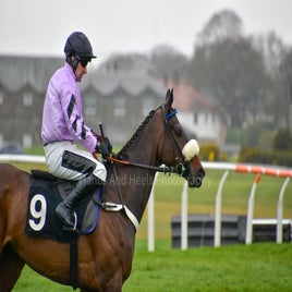 dsc_0683-standard-obmgzk.jpg