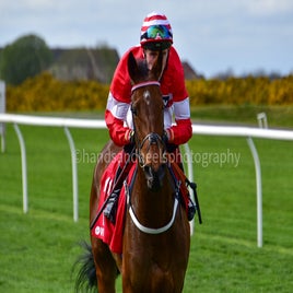 dsc_0703-standard-lcun6n.jpg