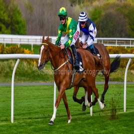 dsc_0757-standard-k7nzl2.jpg