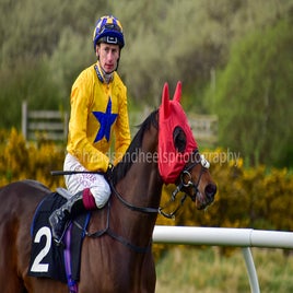 dsc_0779-2-standard-qgxc37.jpg