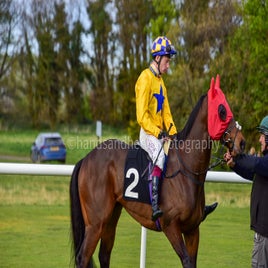 dsc_0782-1-standard-k7n5to.jpg