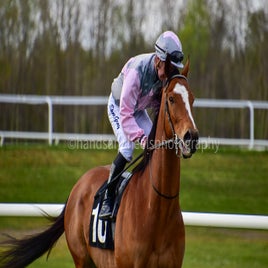 dsc_0785-1-standard-7ka2ky.jpg