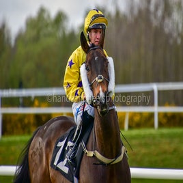 dsc_0809-3-standard-3v5u8b.jpg