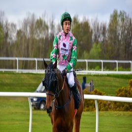 dsc_0826-2-standard-1g4jy8.jpg