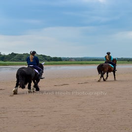 dsc_00021-8.jpg