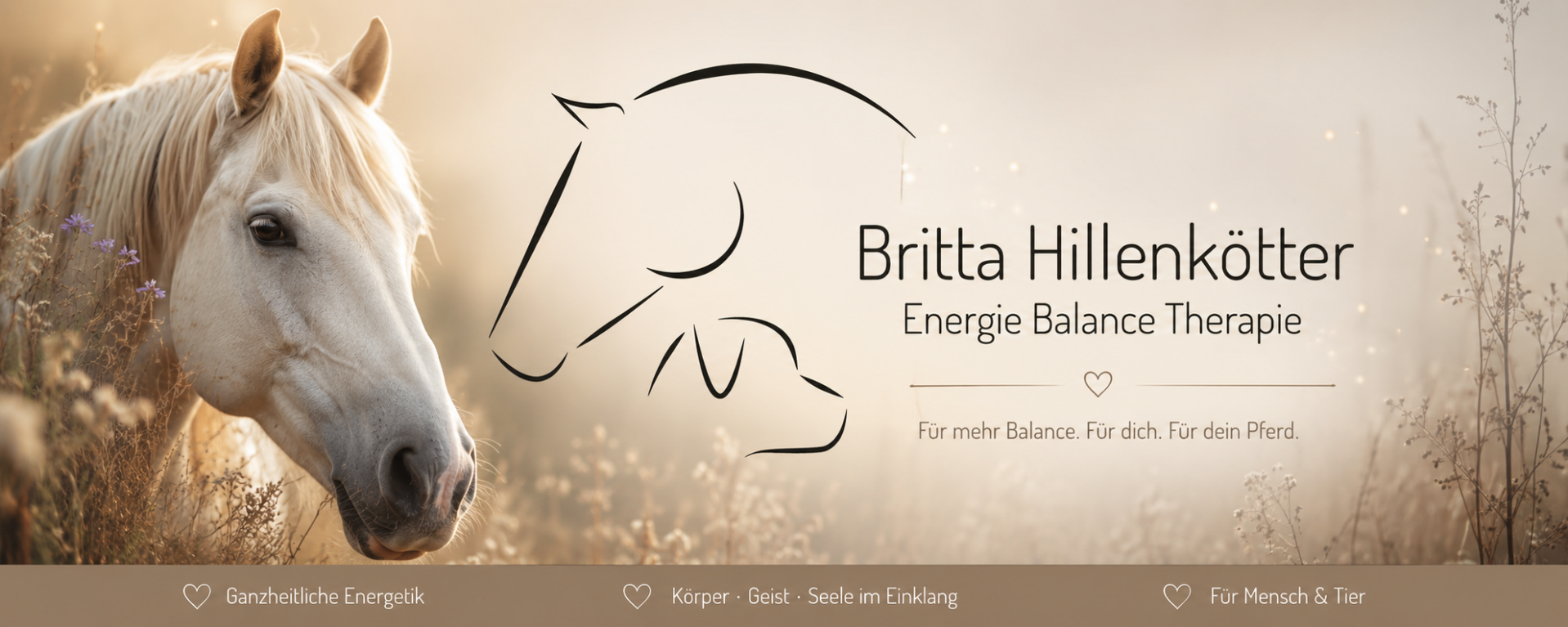 Weißes Pferd auf einer Wiese neben dem Logo von Britta Hillenkötter Energie Balance Therapie für Mensch und Tier.