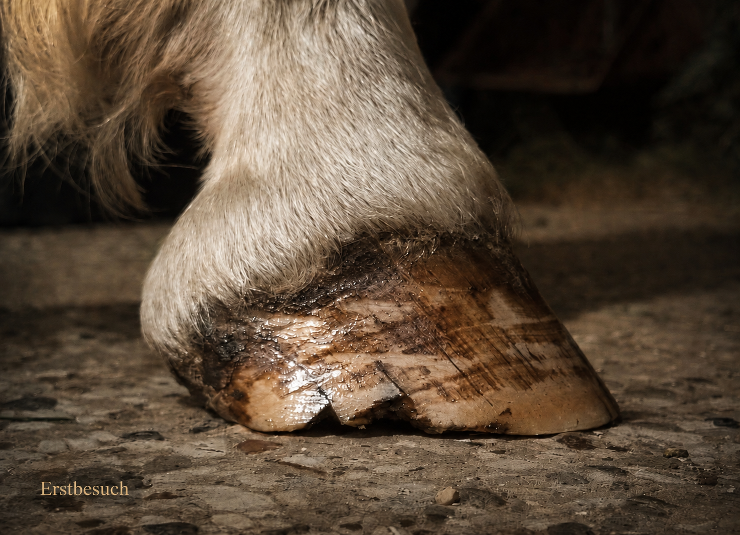 Huf in Nahaufnahme mit Treppenartigem Ausbruch nach der Bearbeitung