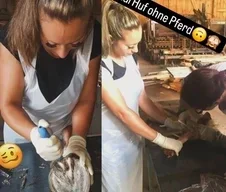 Hoofphysics Huforthopädie bei der praktischen Arbeit am Pferdehuf