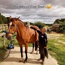 Hoofphysics Huforthopädie vor Ort bei einem Pferd