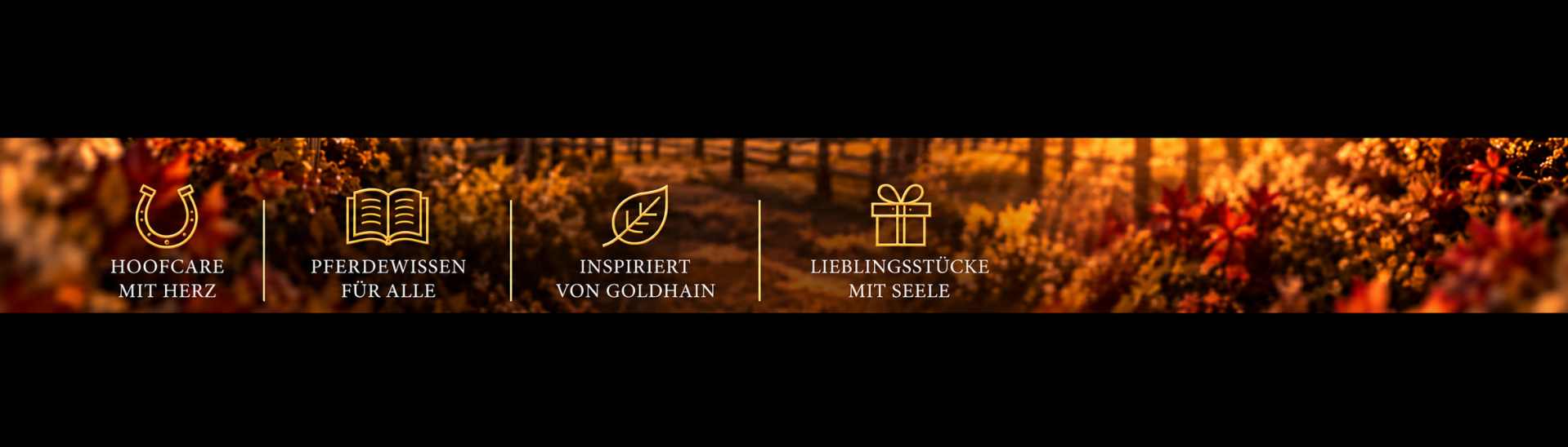 Hoofphysics Themenwelten – Hufpflege, Pferdewissen, Inspiration aus Goldhain und ausgewählte Lieblingsstücke