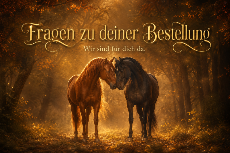 Zwei Pferde im goldenen Wald unter dem Schriftzug Fragen zu deiner Bestellung – Hoofphysics Service und FAQ.