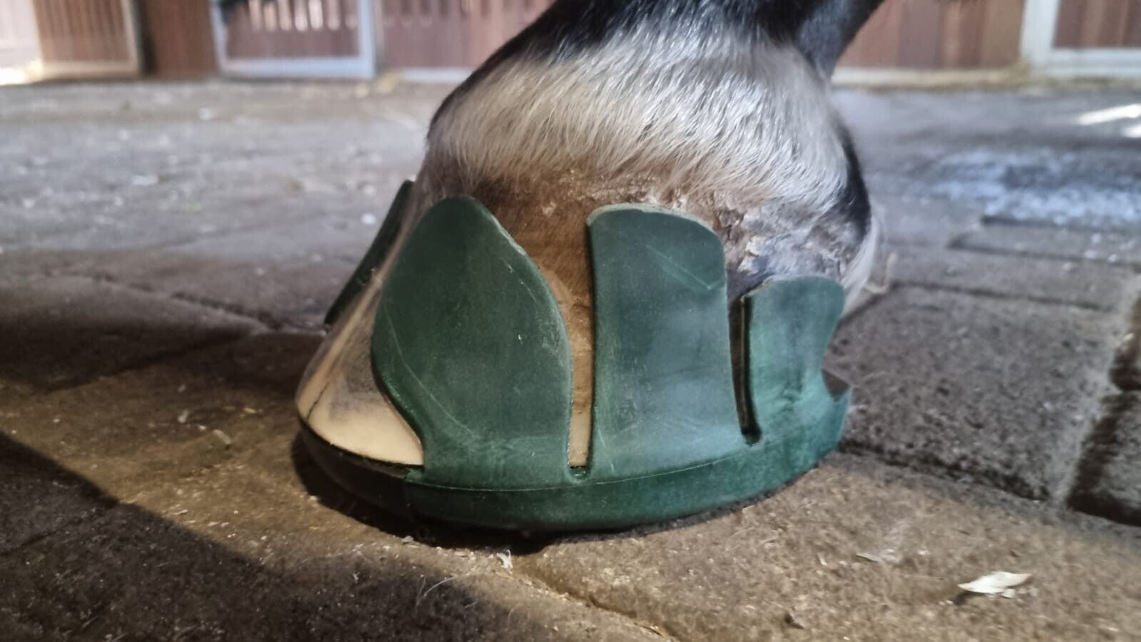Pferdehuf mit dunkelgrünem SHS-Klebebeschlag und zwei breiten Laschen.