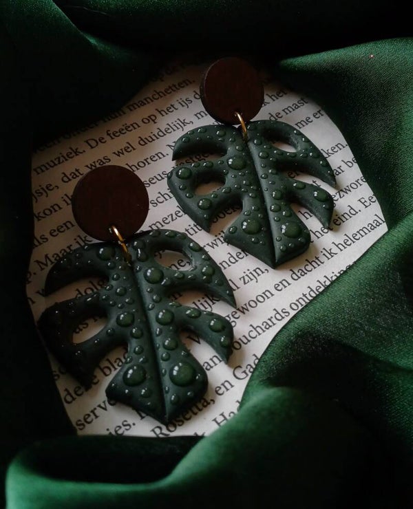 Monstera bladeren 🌿🍀