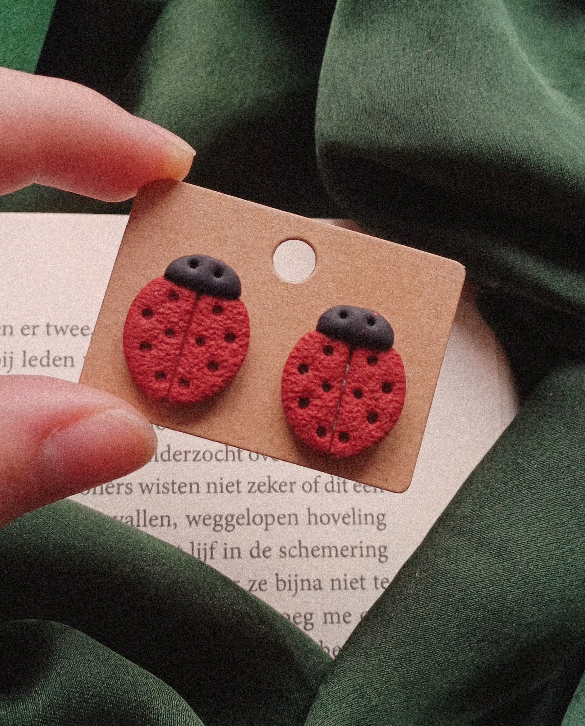 Stud  Lieveheersbeestje🐞