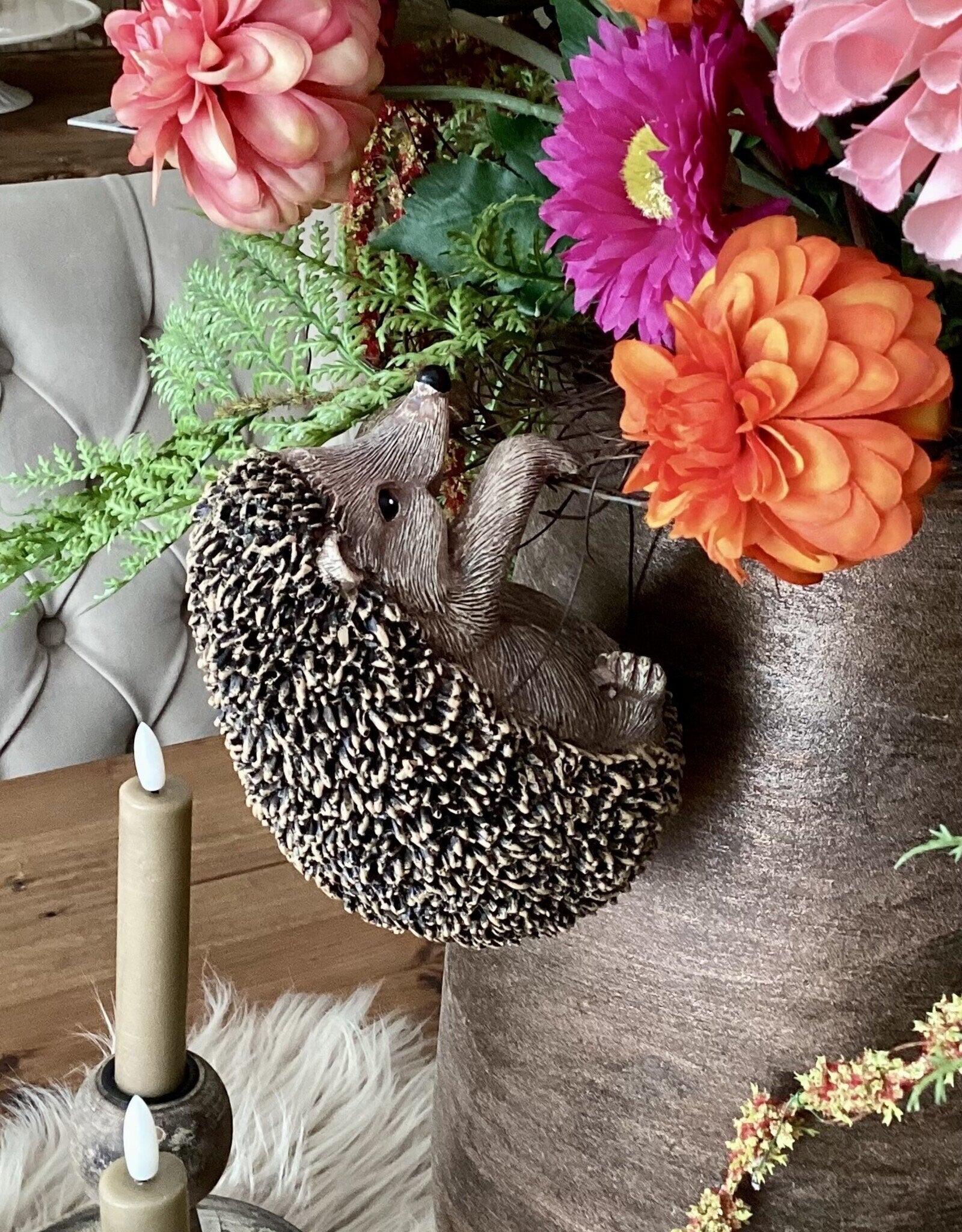 Hangende egel
