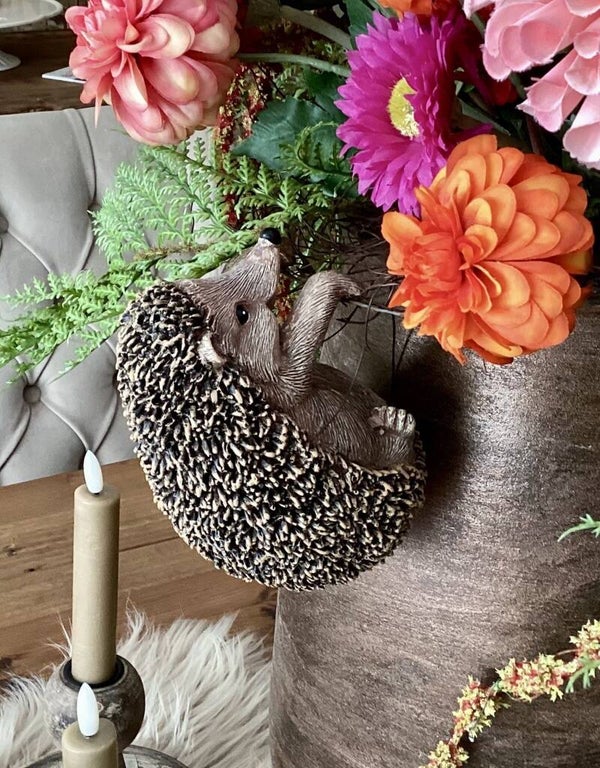 Hangende egel